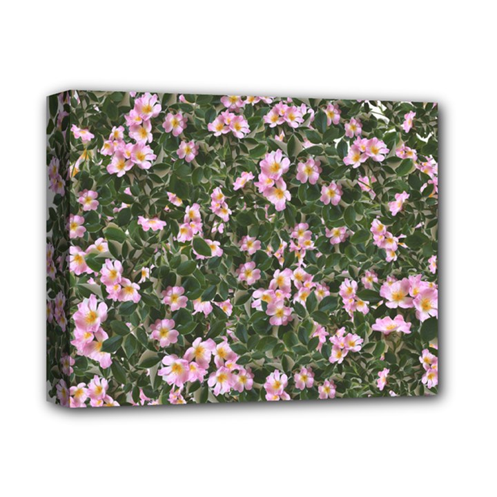 Pink Flowers Leaves Spring Garden Deluxe Canvas 14  x 11  (Stretched)