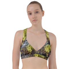 Columbus Crew Crowd, Mapfe Stadium Sweetheart Sports Bra by Riverwoman