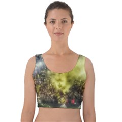 Columbus Crew Crowd, Mapfe Stadium Velvet Crop Top by Riverwoman