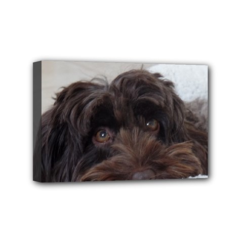 Laying In Dog Bed Mini Canvas 6  X 4  (stretched) by pauchesstore