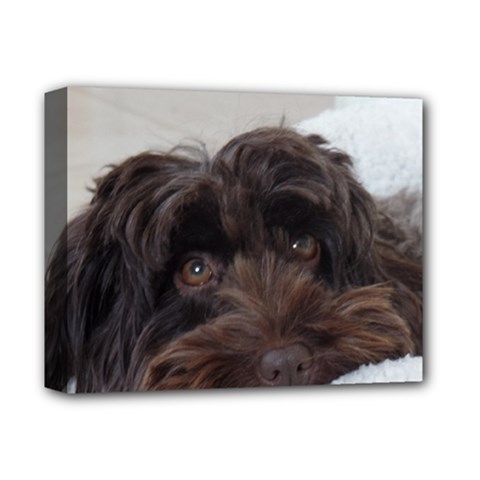 Laying In Dog Bed Deluxe Canvas 14  X 11  (stretched) by pauchesstore