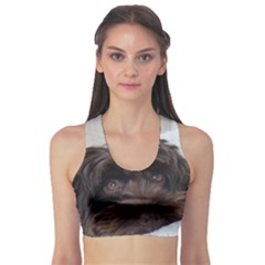 Laying In Dog Bed Sports Bra by pauchesstore