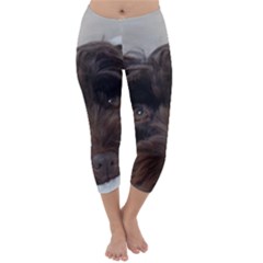 Laying In Dog Bed Capri Winter Leggings 