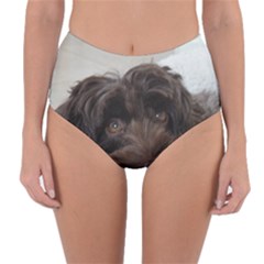 Laying In Dog Bed Reversible High-waist Bikini Bottoms by pauchesstore