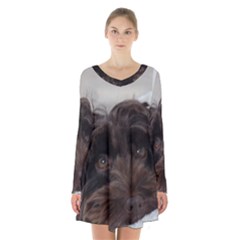 Laying In Dog Bed Long Sleeve Velvet V-neck Dress by pauchesstore