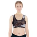 Laying In Dog Bed Sports Bra With Pocket View1