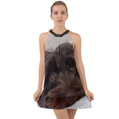 Laying In Dog Bed Halter Tie Back Chiffon Dress by pauchesstore