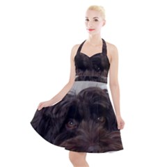 Laying In Dog Bed Halter Party Swing Dress  by pauchesstore