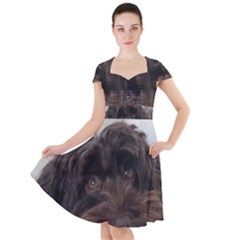 Laying In Dog Bed Cap Sleeve Midi Dress by pauchesstore