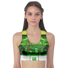 Dublin Scioto Irish Window Sports Bra by Riverwoman