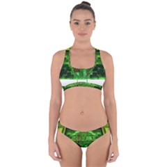 Dublin Scioto Irish Window Cross Back Hipster Bikini Set by Riverwoman