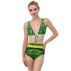 Dublin Scioto Irish Window Tied Up Two Piece Swimsuit by Riverwoman