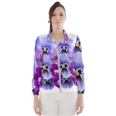 Pansy Isolated Violet Nature Women s Windbreaker by Pakrebo