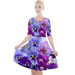 Pansy Isolated Violet Nature Quarter Sleeve A-line Dress by Pakrebo