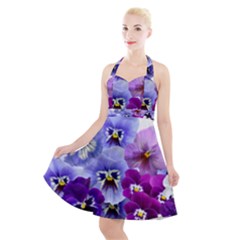 Pansy Isolated Violet Nature Halter Party Swing Dress  by Pakrebo