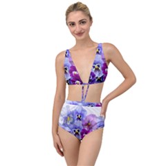 Pansy Isolated Violet Nature Tied Up Two Piece Swimsuit by Pakrebo