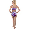 Pansy Isolated Violet Nature Tied Up Two Piece Swimsuit View2