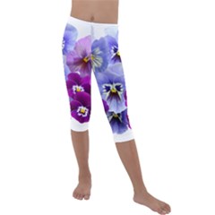 Pansy Isolated Violet Nature Kids  Lightweight Velour Capri Leggings 