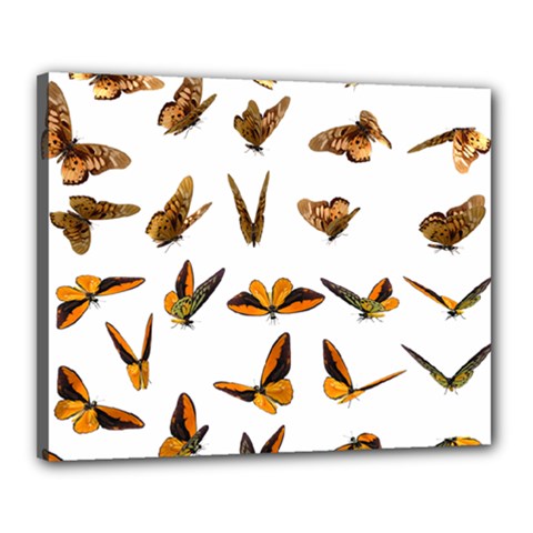 Butterfly Butterflies Insect Swarm Canvas 20  X 16  (stretched) by Pakrebo