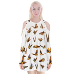 Butterfly Butterflies Insect Swarm Velvet Long Sleeve Shoulder Cutout Dress by Pakrebo