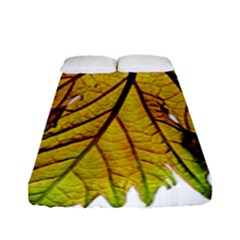 Leaf Grape Vine Sunlight Garden Fitted Sheet (full/ Double Size) by Pakrebo