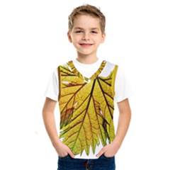 Leaf Grape Vine Sunlight Garden Kids  Sportswear by Pakrebo