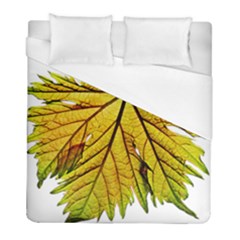 Leaf Grape Vine Sunlight Garden Duvet Cover (full/ Double Size) by Pakrebo