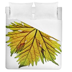 Leaf Grape Vine Sunlight Garden Duvet Cover (queen Size) by Pakrebo