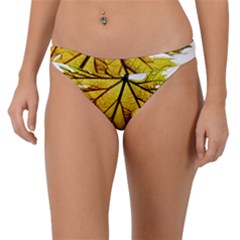 Leaf Grape Vine Sunlight Garden Band Bikini Bottom by Pakrebo