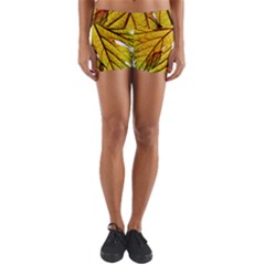 Leaf Grape Vine Sunlight Garden Yoga Shorts by Pakrebo