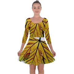 Leaf Grape Vine Sunlight Garden Quarter Sleeve Skater Dress by Pakrebo