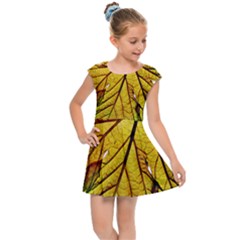 Leaf Grape Vine Sunlight Garden Kids  Cap Sleeve Dress by Pakrebo