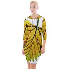 Leaf Grape Vine Sunlight Garden Quarter Sleeve Hood Bodycon Dress by Pakrebo