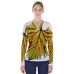 Leaf Grape Vine Sunlight Garden V-neck Long Sleeve Top by Pakrebo