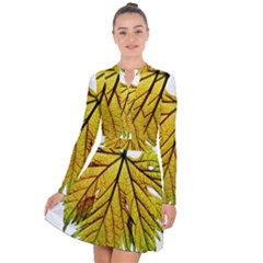 Leaf Grape Vine Sunlight Garden Long Sleeve Panel Dress by Pakrebo