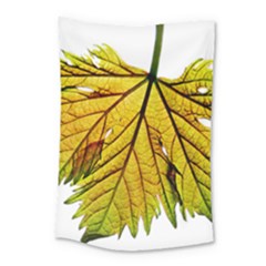 Leaf Grape Vine Sunlight Garden Small Tapestry by Pakrebo