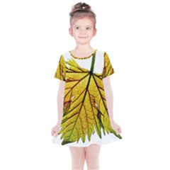 Leaf Grape Vine Sunlight Garden Kids  Simple Cotton Dress by Pakrebo