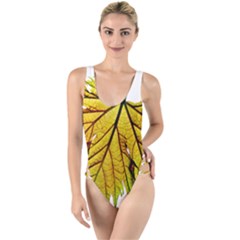 Leaf Grape Vine Sunlight Garden High Leg Strappy Swimsuit by Pakrebo