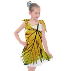 Leaf Grape Vine Sunlight Garden Kids  Tie Up Tunic Dress by Pakrebo