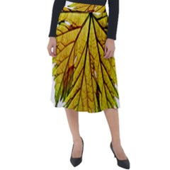 Leaf Grape Vine Sunlight Garden Classic Velour Midi Skirt 