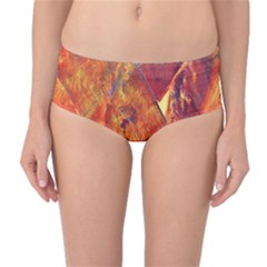 Altered Concept Mid-waist Bikini Bottoms by WILLBIRDWELL