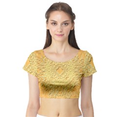 Elegant Decorative Floral Design Short Sleeve Crop Top by FantasyWorld7