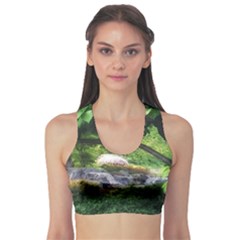 Chicago Garden of the Phoenix Sports Bra