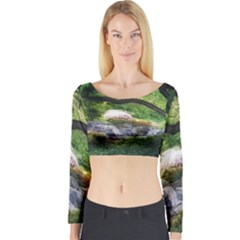 Chicago Garden of the Phoenix Long Sleeve Crop Top