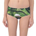 Chicago Garden of the Phoenix Mid-Waist Bikini Bottoms View1