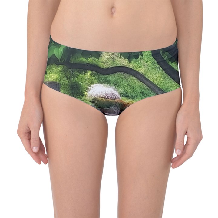 Chicago Garden of the Phoenix Mid-Waist Bikini Bottoms