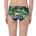 Chicago Garden of the Phoenix Mid-Waist Bikini Bottoms View2