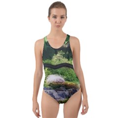 Chicago Garden of the Phoenix Cut-Out Back One Piece Swimsuit