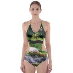 Chicago Garden of the Phoenix Cut-Out One Piece Swimsuit