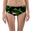 Chicago Garden of the Phoenix Reversible Mid-Waist Bikini Bottoms View1